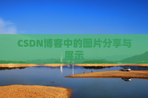 CSDN博客中的图片分享与展示